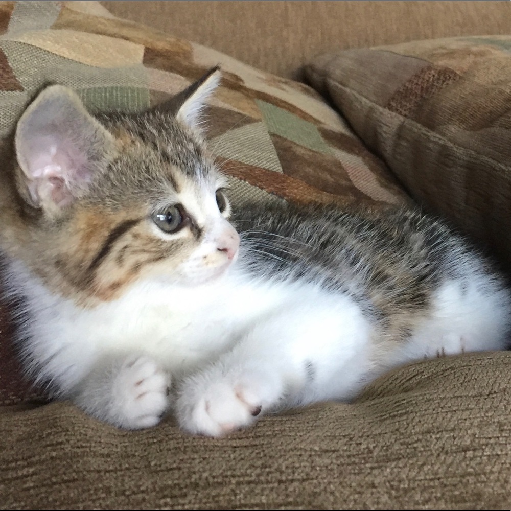 Meet your Posher, Thuy